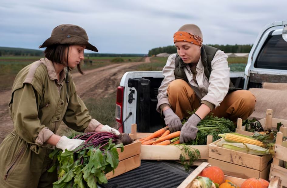 Why Local Farmers Are the New Frontline of Food Security